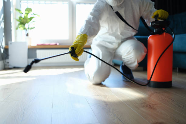 Reliable Odor Removal contractor in Mesquite, NV by Trauma Clean Pros